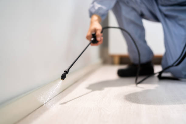 Licensed Termite Control service in West Hammond, NM - Show Me Pest Control